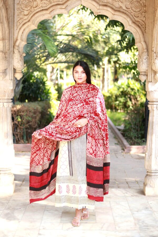 BB  Blocks Modal silk suits material - Image 17
