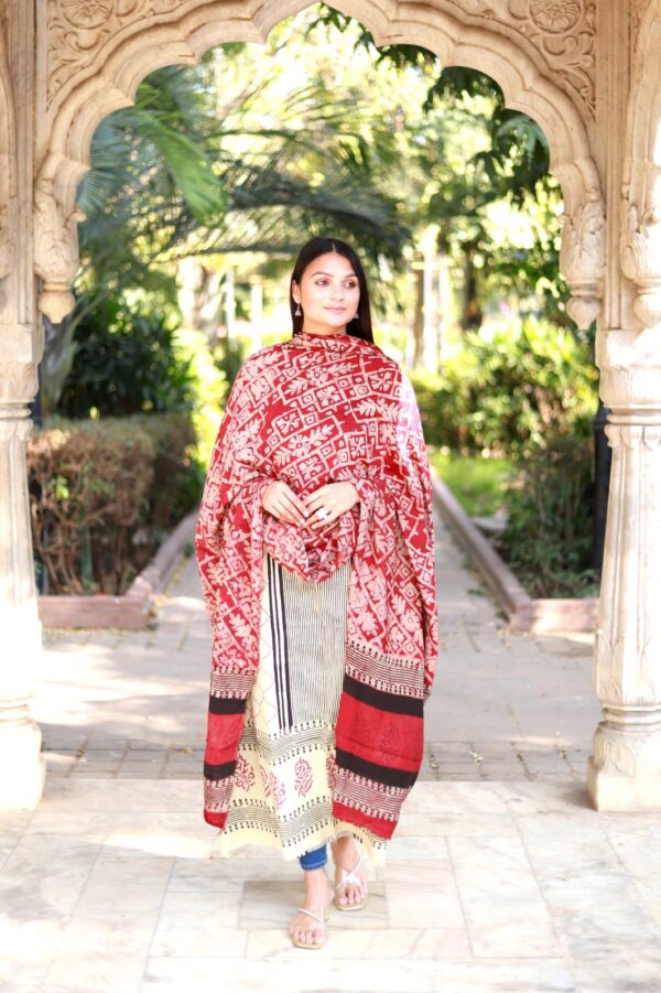 BB  Blocks Modal silk suits material - Image 7